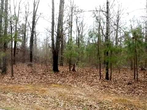 4300 Cobblestone Rd, Sumter, SC home video tour