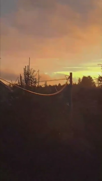 ЭСТЕТИЧНЫЙ ЗАКАТ🌇 - YouTube