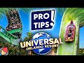 Pro tips for universal orlando resort  2024