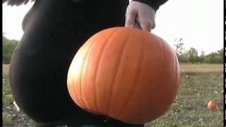 Pumpkin Patch Visit.mov