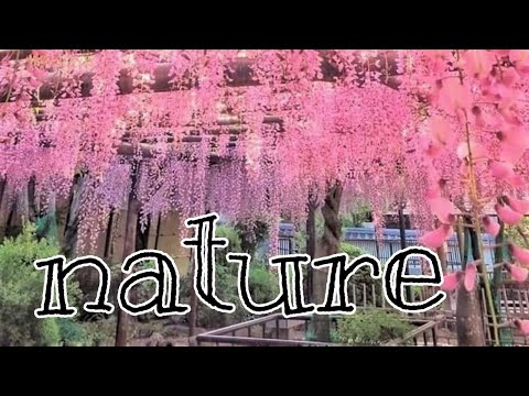 Nature🥺🌿[beautiful world]😍🌎 