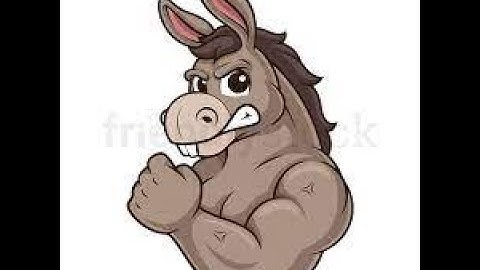 Donkey Stomper Products, Stryker 955 HPC, Version 2, Setup, Tune up, Paired with 600HD-HG-6 Pill,