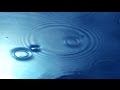 Zen garden rain  relaxation meditation mindfulness pure bliss