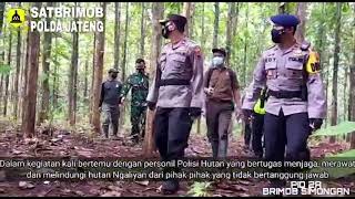 PATROLI KARHUTLA BRIMOB JATENG DI WILAYAH MANGKANG by Brimob Jateng 149 views 3 years ago 2 minutes, 32 seconds