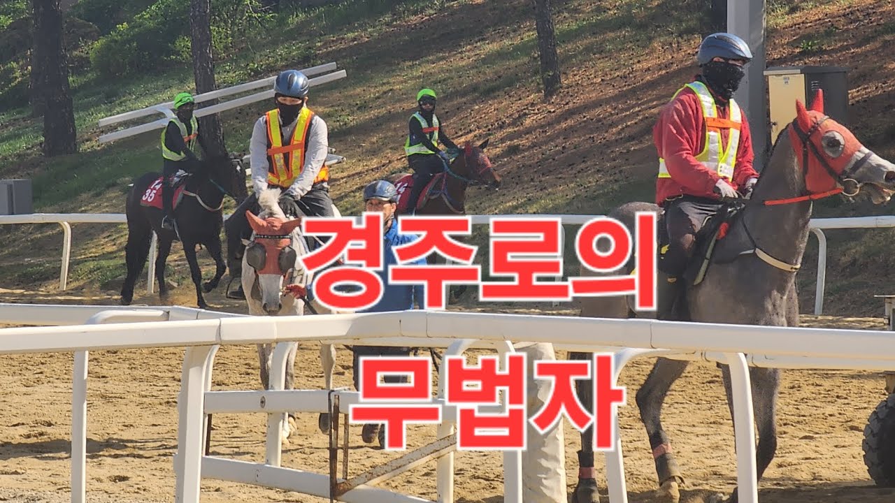 경주로의 무법자