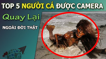 Top 5 Nàng Tiên Cá Bị Camera Quay Lại Ngoài Đời Thật