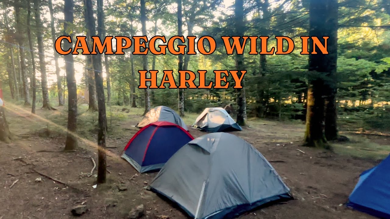 Campeggio in libera in Harley – Macchia Antonini