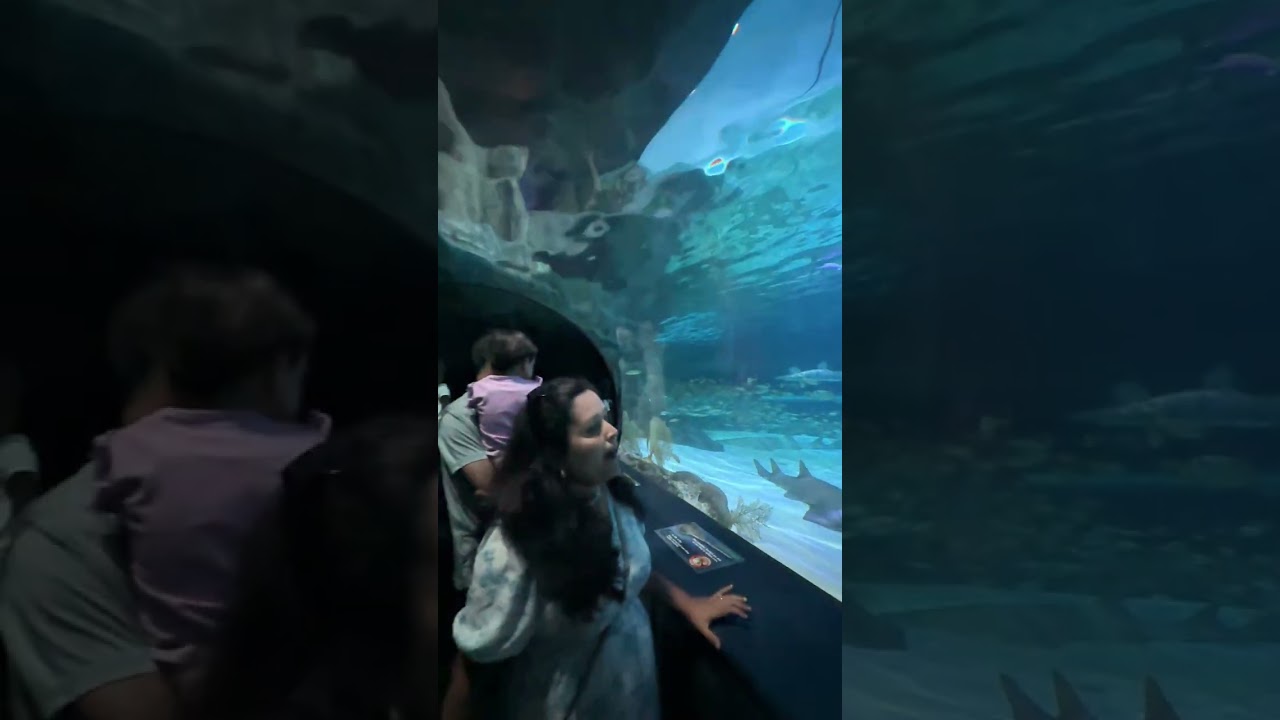 Trip to Myrtle Beach, South Carolina