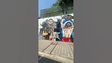 So Awesome Seeing UFC Champion Merab Dvalishvili S Mural In Tbilisi Georgia Shorts Ufc Mma 