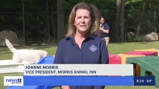 News 12 Visits Morris Animal Inn