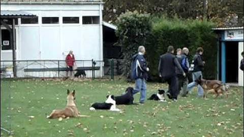 KSHAC  wijding-demo 094.avi