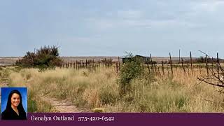 Homes for sale - 000 Loftis Lane, Dexter, NM 88230