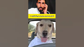 طاكو الملاعين Funny هتضحك اكسبلور ضحك تحشيش كوميديات دويتو تحشي Memes Duet 
