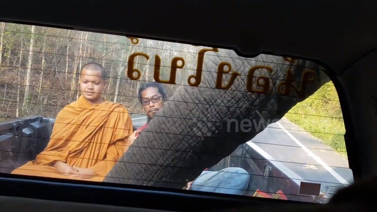 camera iphone 8 plus apk Elephant raids pickup truck as Buddhist Monk Looks Nervously On