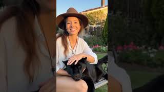 Carinho Em Uma Pantera Negra 