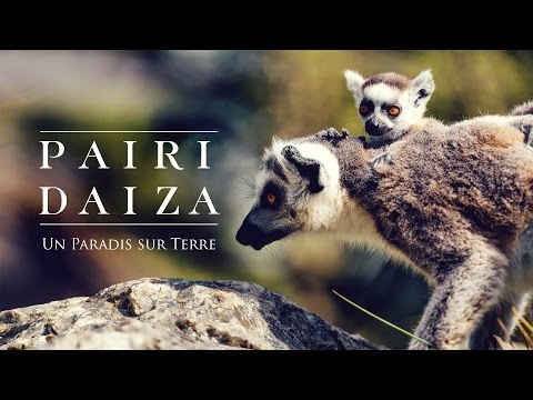 Pairi Daiza - Un Paradis sur Terre