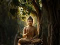 Gautama Buddha: A Timeless Wisdom for a New Beginning