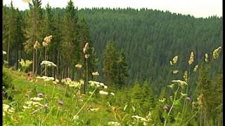 Landschaft TV 24.03.2014