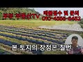 경주 모서리 토지매매 7번국도 4차선도로접 관리지역 물류창고부지 판매시설부지 다용도 건축가능 경주에서포항방면토지로서 투자 가치 최고의 토지