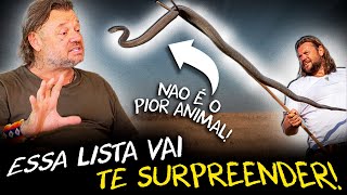 QUAIS ANIMAIS REALMENTE MATAM MAIS HUMANOS? DESCUBRA!