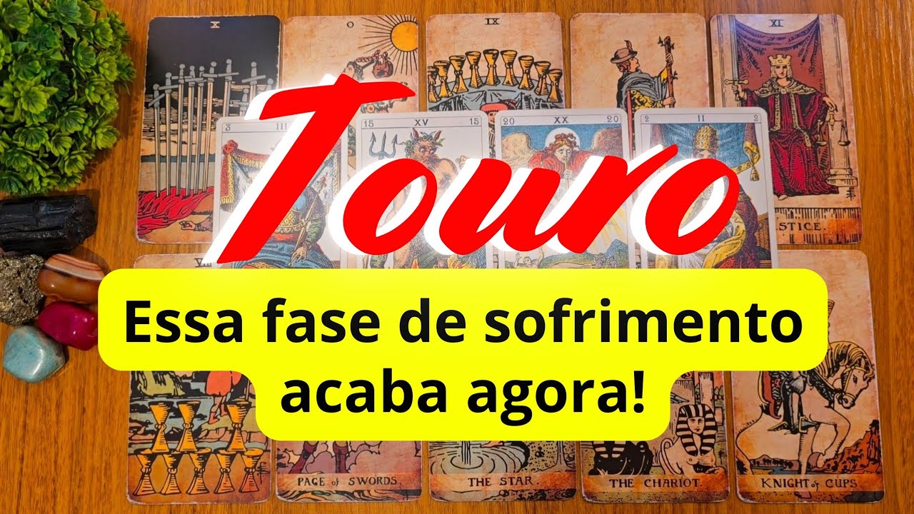 TOURO 💜💛 DESPERTANDO PARA UMA VIDA NOVA! COLHEITAS! RUMO À FELICIDADE!