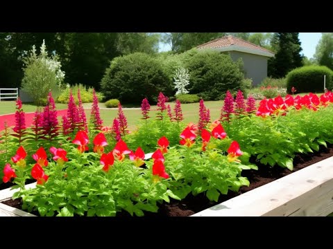 Snapdragon Care: Starting Seeds, Planting x Maintenance Tips