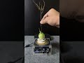 Lightning + plants part8