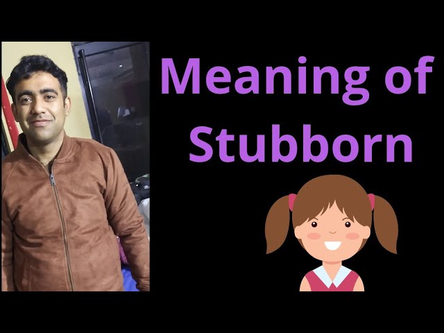 Stubborn synonyms family Meaning in Hindi with Picture, Video