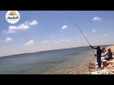 خلطه تجذب سمك الدنيس بكل سهوله الحلقه 15 من اقوى الأماكن لصيد سمك الدنيس