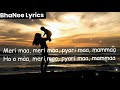 Lyrical  meri maa lyrics  dasvidaniya songs  kailash kher songs  bhanee lyrics