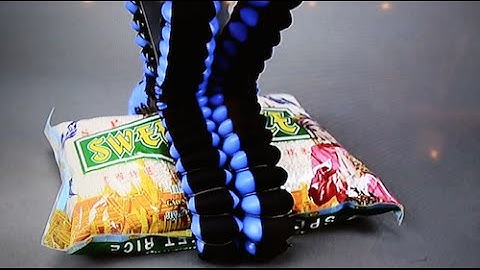 RoboUniverse Expo: Soft Robotics Pneumatic Grippers