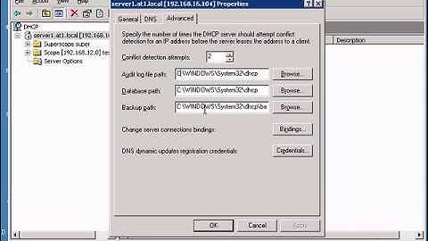 View and edit the database and log path to a Windows DHCP server