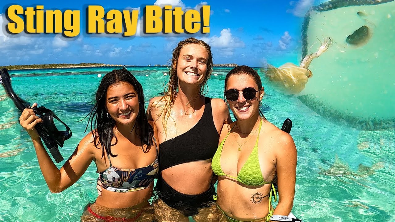 Sting Ray Bite! – S7:E56