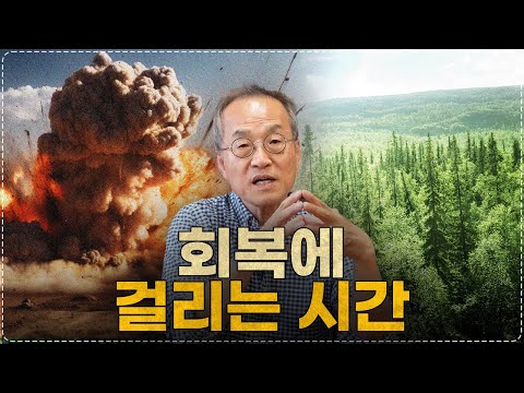   전쟁이 일어난 지역은 복구가 얼마나 걸릴까 전쟁 지역 자연 회복 전지적 관찰자 시점 최재천의 아마존