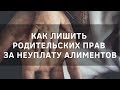 Как лишить родительских прав за неуплату алиментов