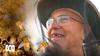 'Tractor' Ferguson could be the Queensland outback’s last beekeeper 🐝🍯 | ABC Australia