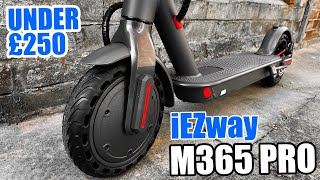 iEZway M365 Pro Electric Scooter - 350W Motor - Cruise Control - UNDER £250 - Better than Xiaomi?