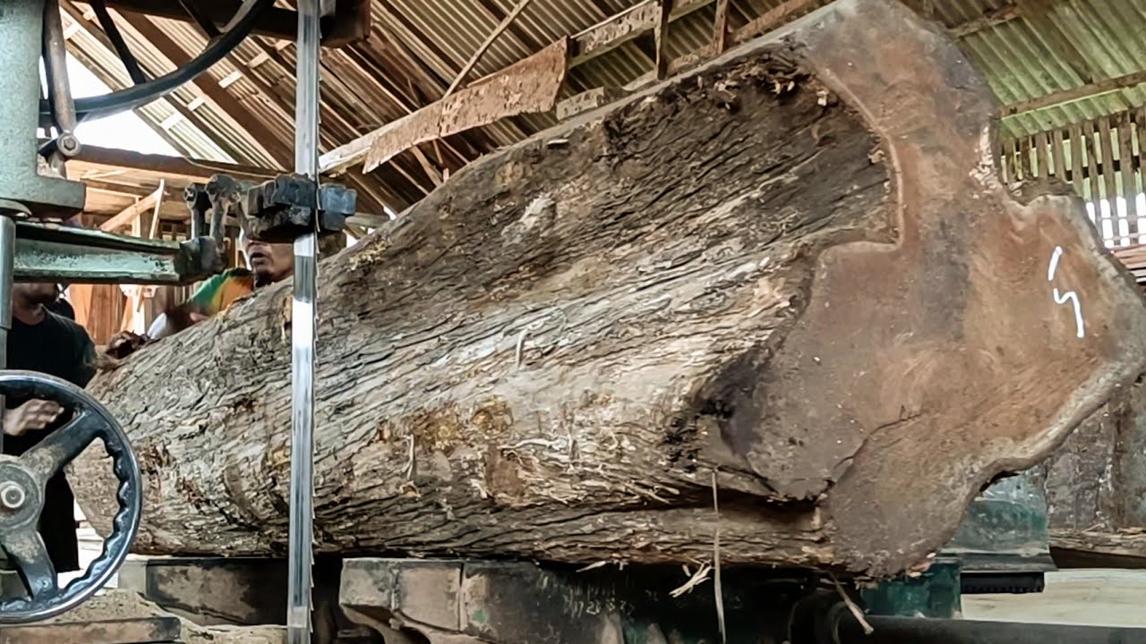 The process of sawing a large tree stump is terrifying - YouTube