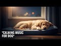 12 hours of Soothing Dog Music for Relaxation : Reduce Anxiety &amp; Promote Deep Sleep Naturally 💤🐕😌