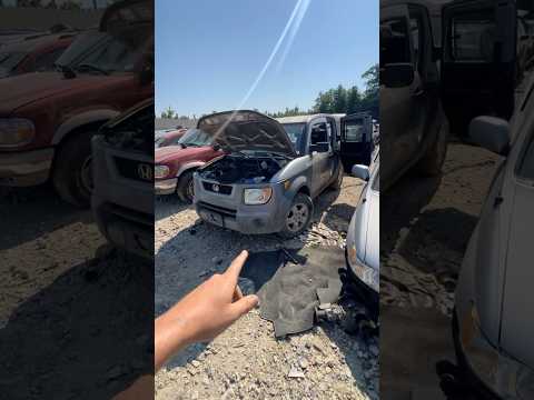 Junkyard Scottsbluff