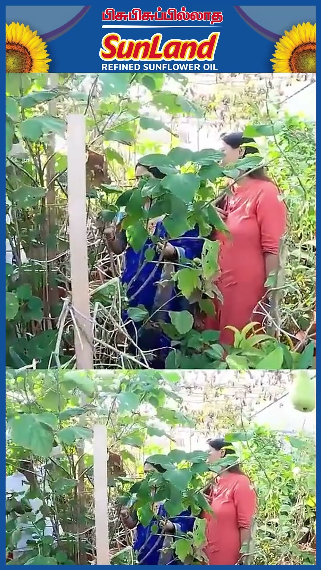 'செண்டு மல்லி வாசனை செமயா இருக்கும்..' ? Anitha Kuppusamy Garden Tour Live Visit ?
