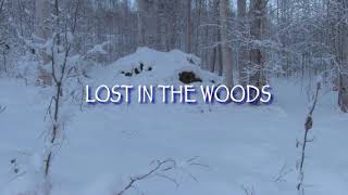 Lost in the Woods—Short Film (Directors Cut)