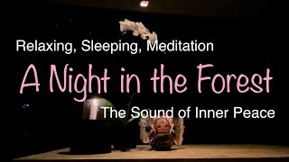 Relaxing Music, Sleeping Music, Zen Music, Meditation Music, Healing Music. A night in the Forest.