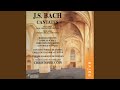 Miniature de la vidéo de la chanson Cantate Bwv 41 - Recitativo "Doch Weil Der Feind"