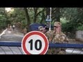 Донецкий нардеп-«регионал» отобрал у людей парк и дорогу!
