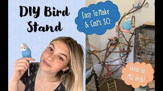 How to Make a Bird Stand DIY Bird Playground