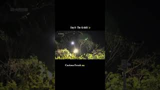 Day 8: Woke Up Happy & Finally Got My DSA Practice Going | AI Career Switch #Shorts