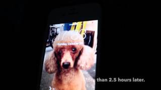 Sunay Battery Charger - The Worry Free Charger