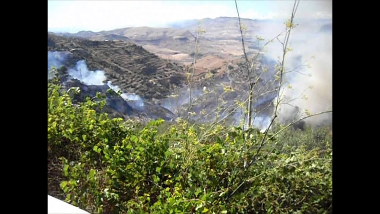 Regalbuto incendi 2011