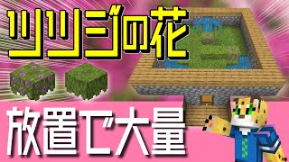 【超簡単！】放置OK！自動ツツジ増殖装置の作り方【統合版マイクラ】1.19+